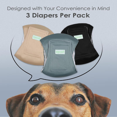 StayDry Pet Nappies (3 Packs)