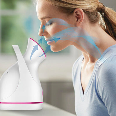 VitaSteam Nano Ionic Facial Steamer