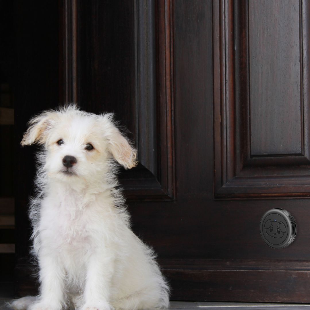 PawPress Wireless Pet Doorbell