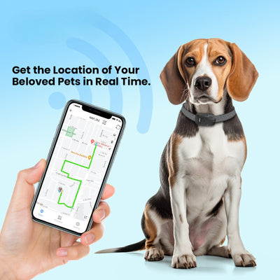 PetFinder Pro