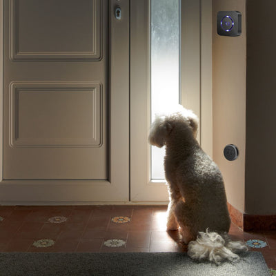 PawPress Wireless Pet Doorbell